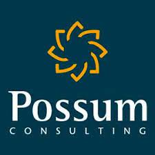 Possum Consulting